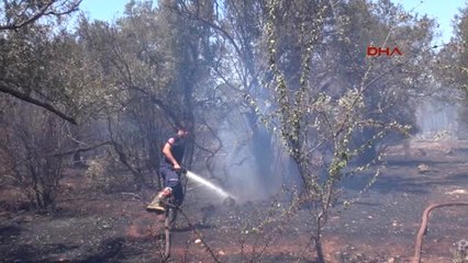 Antalya'da Korkutan Yangın; 5 Ev Boşaltıldı
