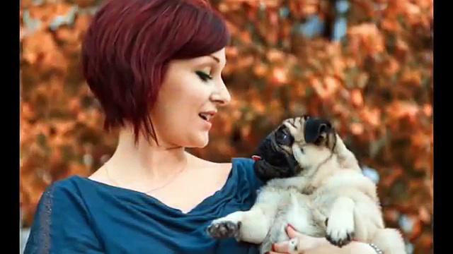Pet Friendly Drug Rehab