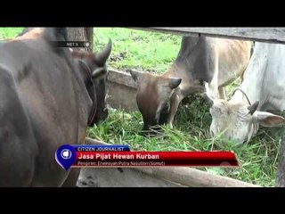 Download Video: Jasa Pijat Hewan Kurban - NET5