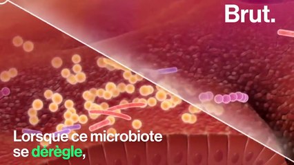 La matière fécale, un nouveau traitement révolutionnaire ?