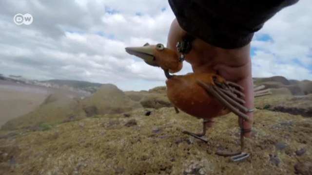 Живые куклы Барнаби Диксона