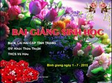 Bai giang Sinh hoc 9 - Bai 4 Lai Hai Cap Tinh Trang