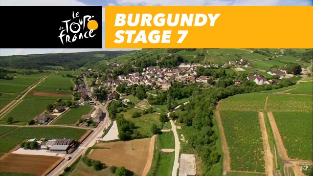 Vignes de Bourgogne / Burgundy Vineyards - Étape 7 / Stage 7 - Tour de France 2017