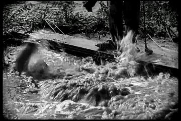 Charlie Chaplin - 1918 - Chaplin's Festival P2