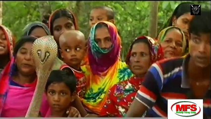 দেখুন কিভাবে লোকটা নাকে ও হাতে সাপেড় কামড় খাচ্ছে।।একবারে অবিশ্বাস্য ব্যাপার।। ‍Snake Dance (2017)