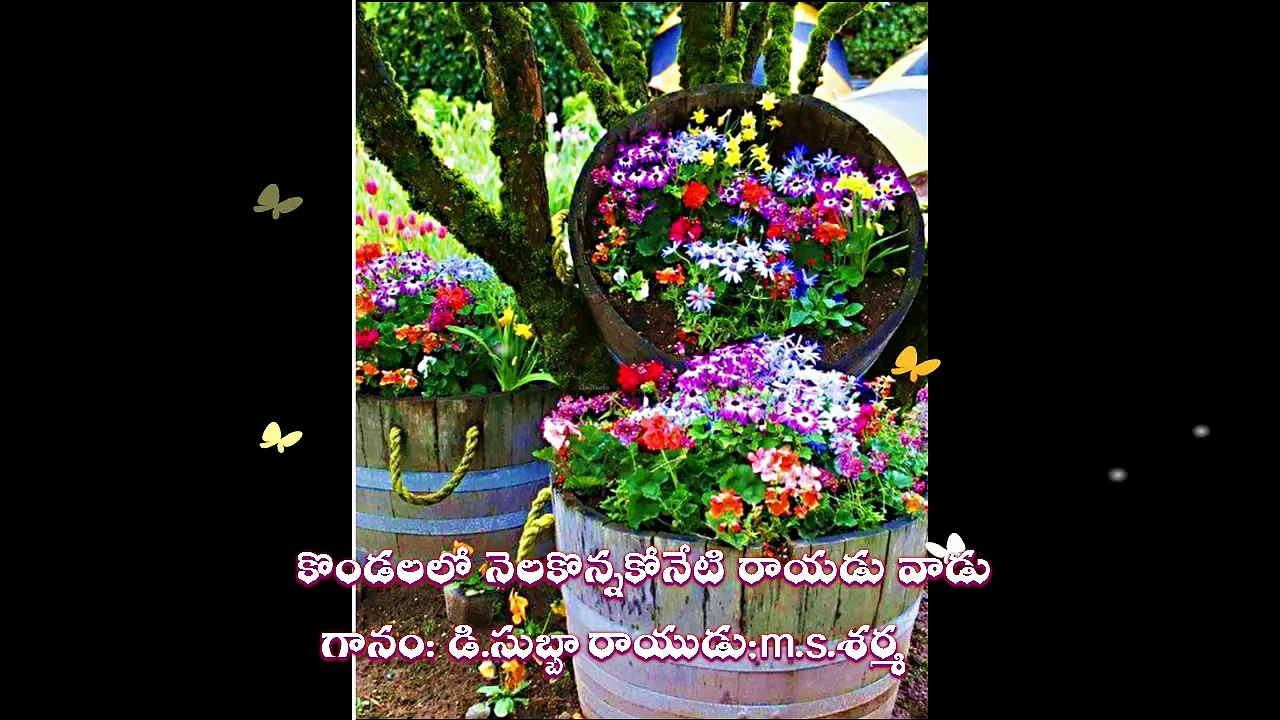 KONDALALO NELAKONNA KONETI RAYADUVADU