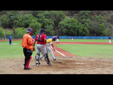 Beisbol de Veteranos 2017