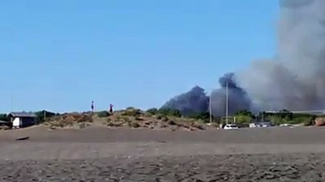 Incendio nella pineta di Castelfusano alle spalle del Dazio