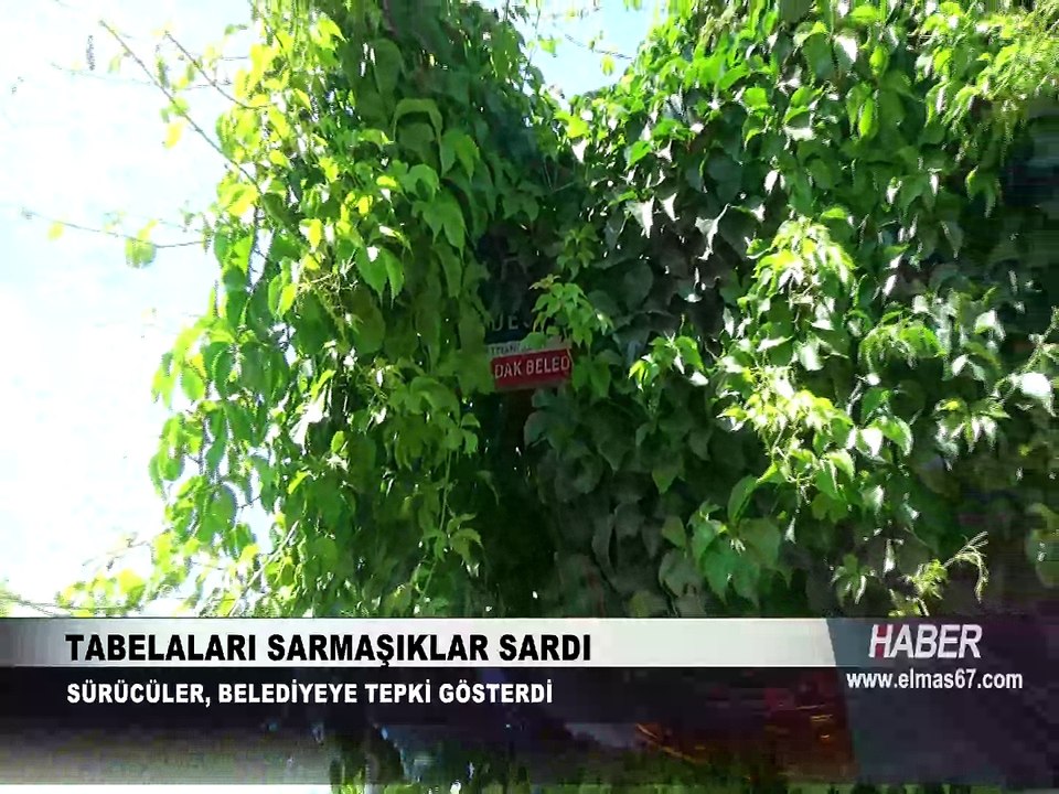 Tabelalar görünmez halde...