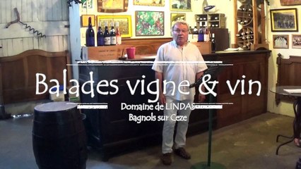 Balade vigne & vin