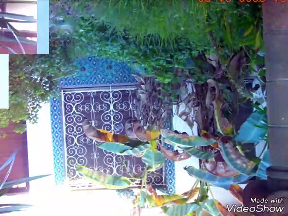 Video2017_0707 patrimoine
