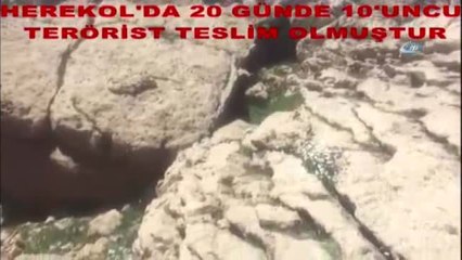 Siirt'te 1 Terörist ve Mühimmat Ele Geçirildi
