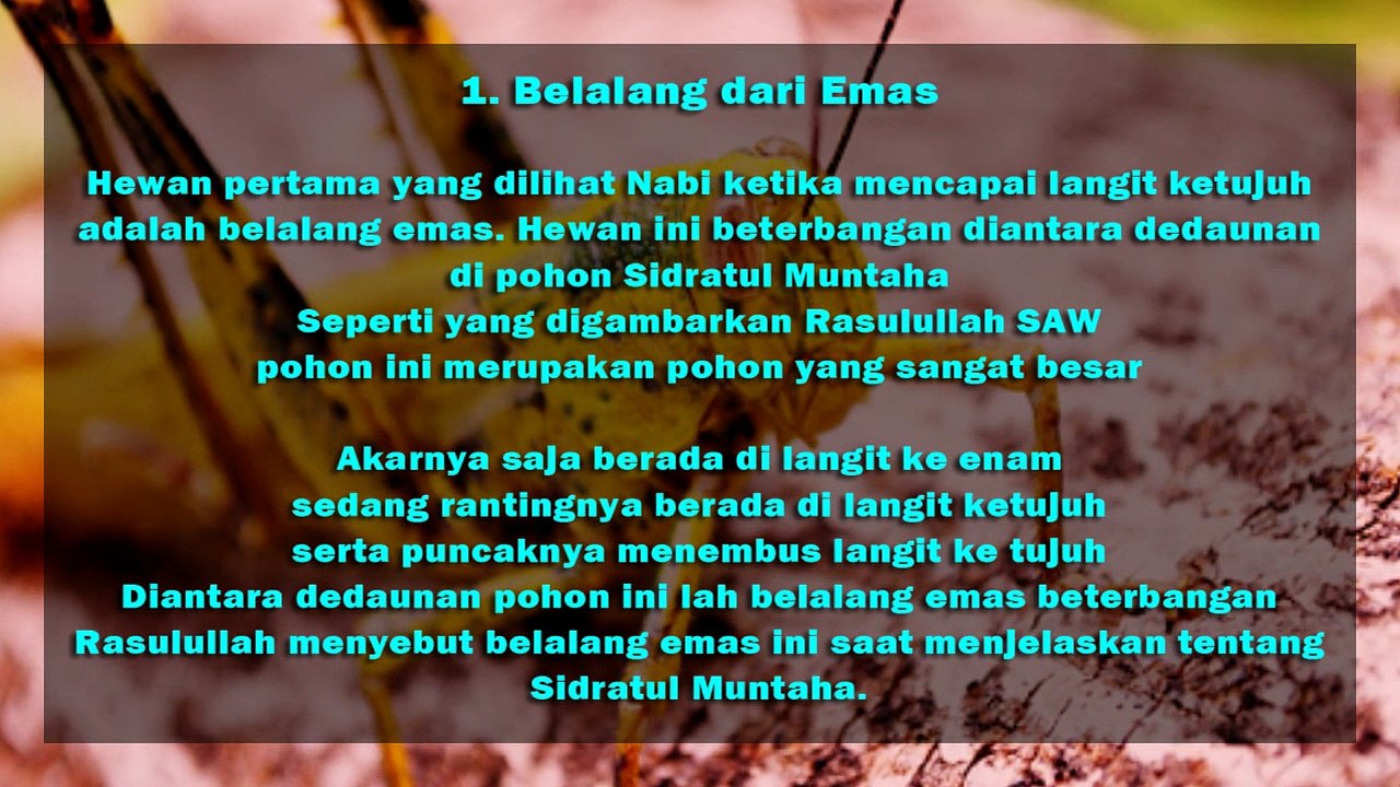 Inilah 4 Hewan yang Hidup di Langit Ke Tujuh