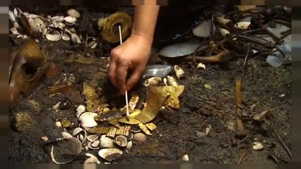 Archeologia: un lupo azteco a città del Messico