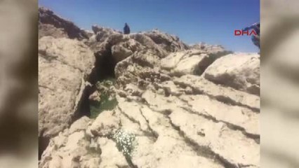 Tsk: Siirt'te 1 Terörist ve Çok Sayıda Mühimmat Ele Geçirildi