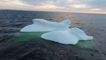 Drone Footage Captures Icebergs Near Twillingate, Newfoundland