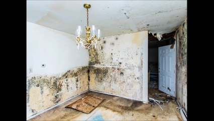 A Restoration And Kleaning Services LLC - (954) 294-4290