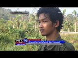 Proses Evakuasi Orang Utan di Samboja Lestari - NET16