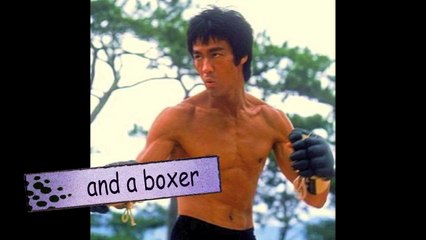 Top ten facts about  bruce lee