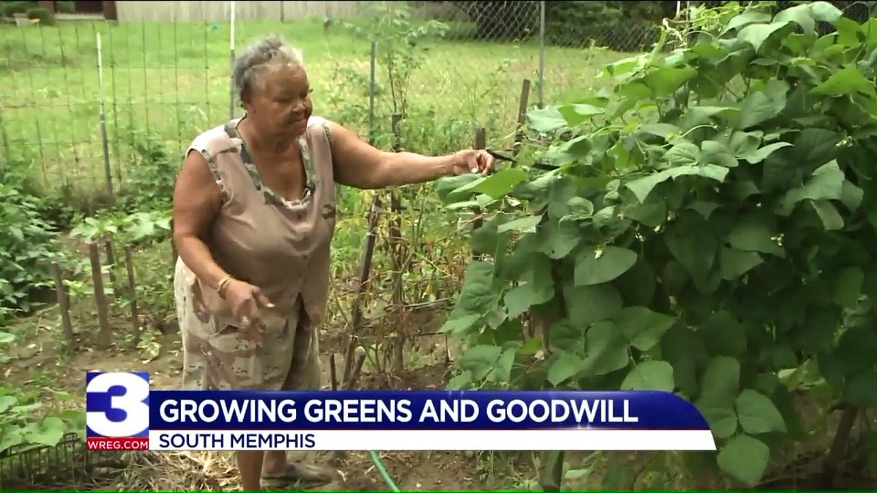 Woman Turns Blight into Community Garden to Feed Her Neighbors