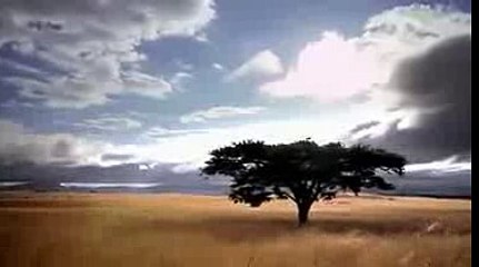 PBS NATURE Invasion of the Giant Pythons