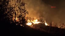Muğla Bodrum'da Makilik Alanda Yangın Çıktı