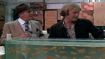 Minder S02 E12 Caught In The Act, Fact