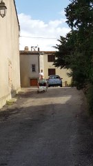 Caisse à savon - Philippe