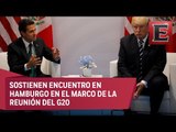 Trump reitera ante Peña Nieto que México pagará por muro fronterizo