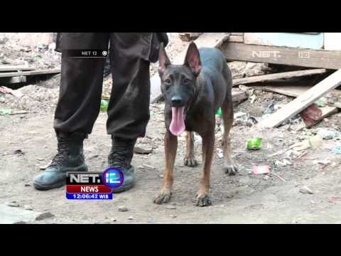 Live Report Proses Penyelidikan Kasus Pembunuhan PNF - NET12