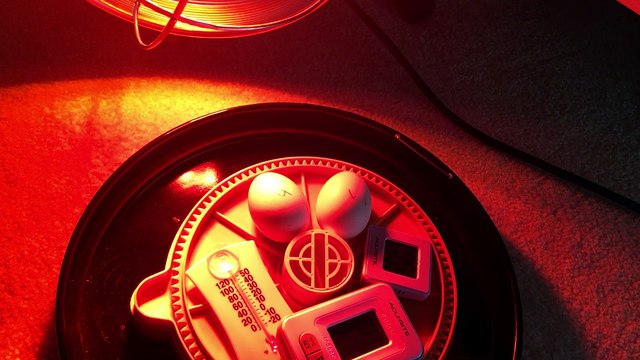 Night 15 Part 2 - Duck Egg Candling - Using the heat lamp and digitally monitoring temperatures - Ducks embryos still alive!