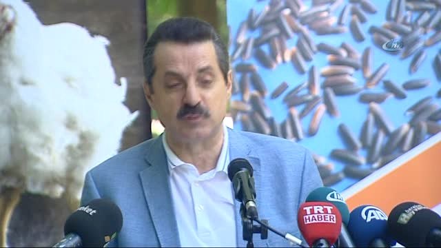 Gıda Tarım ve Hayvancılık Bakanı Faruk Çelik: Dişi Hayvan Kurban Pazarlarına Girmeyecek.