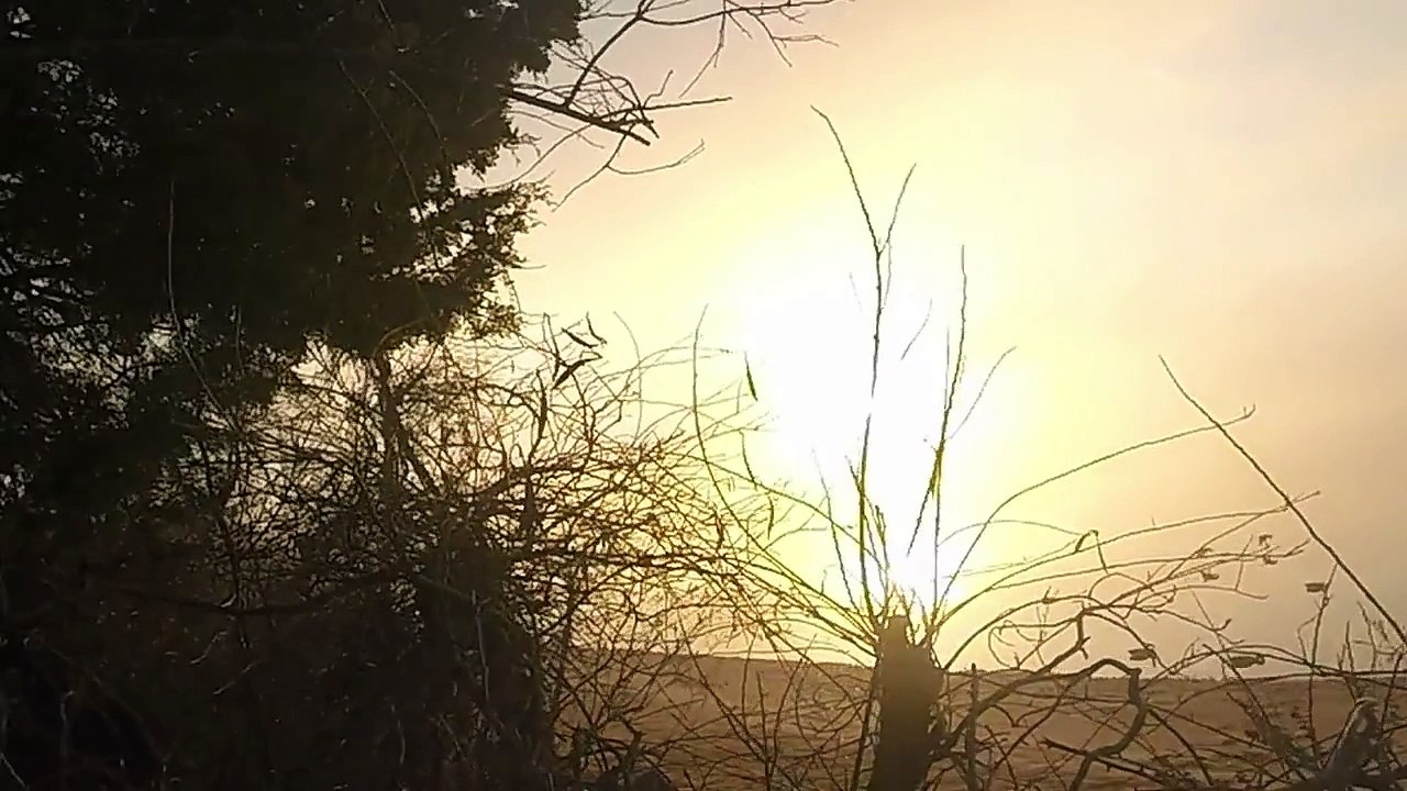 Duck hunting January 18, 2017 Eastern Shore, Maryland