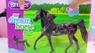 My Dream Horse Breyer Decorating Model Horses Craft Playset - HoneyHeartsc Video