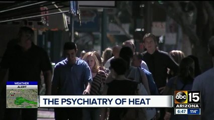 How do the seasons affect our moods?