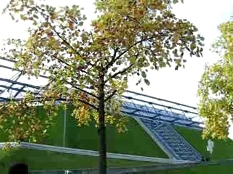 Moi ki parle a estelle