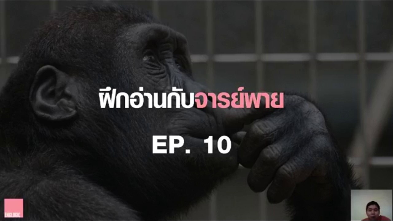 ฝึกอ่านกับจารย์พาย Ep.10 Risk-Taking and Monkey Economy