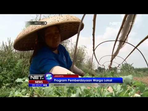 Mengenal Aplikasi Jual Beli Buah Impor di Indonesia - NET5