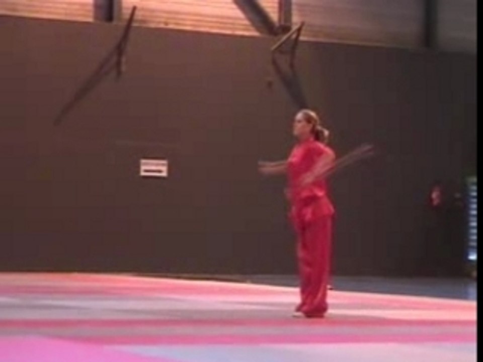 DEMONSTRATION KUNGFU MARSEILLE 17 dec 2006