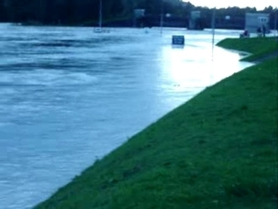 La chasse des corbeaux