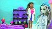 Scientist Barbie Dolls Create A Blob & Ice Girls Monster High Doll in Lab - Toy Video
