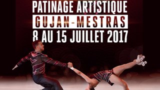 ARTISTIQUE - Chpt de France 2017 - Gujan Mestras