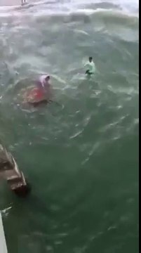 2 hommes essaient d'attraper un requin à main nue
