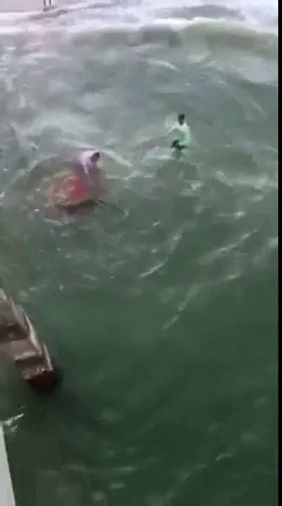 2 hommes essaient d'attraper un requin à main nue