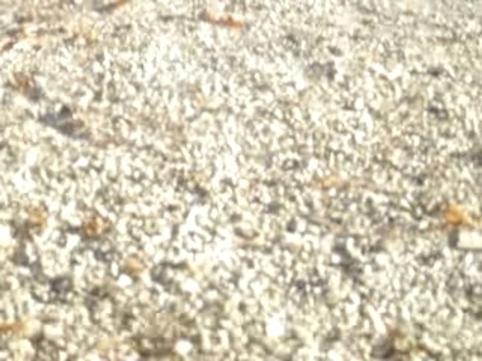 MOV04744