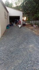 Caisse à savon - Céline