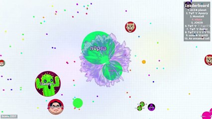 Gros fou détruire équipes Gameplay agar.io agario