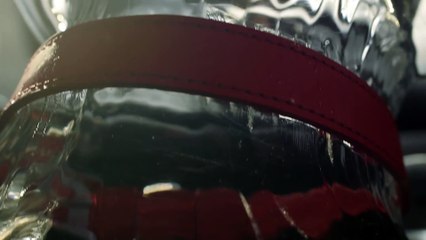 Voici les règles à suivre si vous découvrez un chien enfermé dans une voiture au soleil