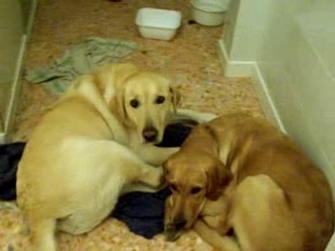 2007-01-22 Héra Hermès enlacés (4)