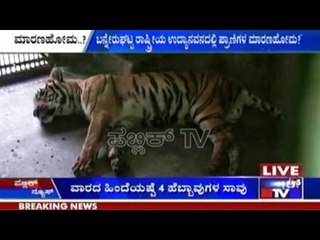 Bannerghatta Wildlife Sanctuary: Wildlife Die One After The Other
